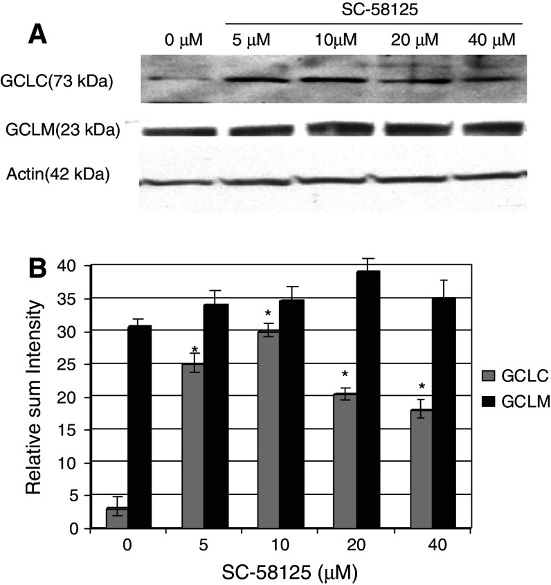 Fig. 6