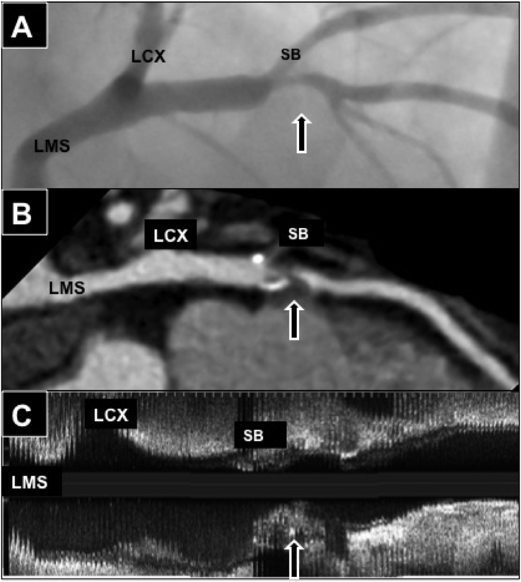 Fig. 3