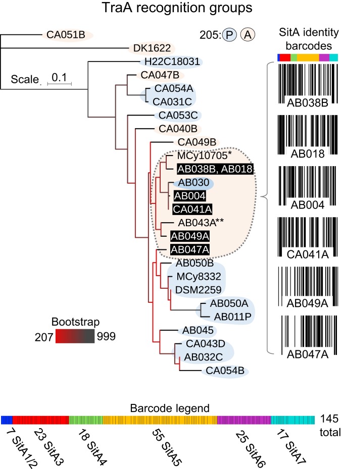 Fig. 7.