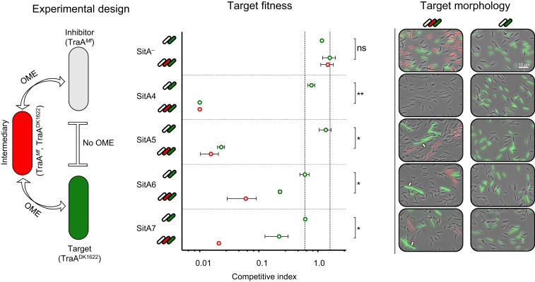 Fig. 3.