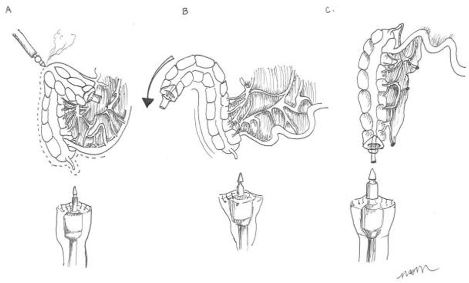 Figure 10.