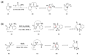 Scheme 6