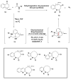 Scheme 3