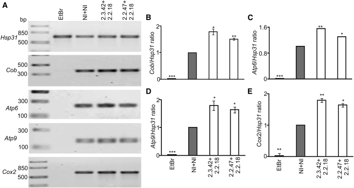 Figure 3