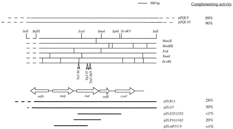 FIG. 2