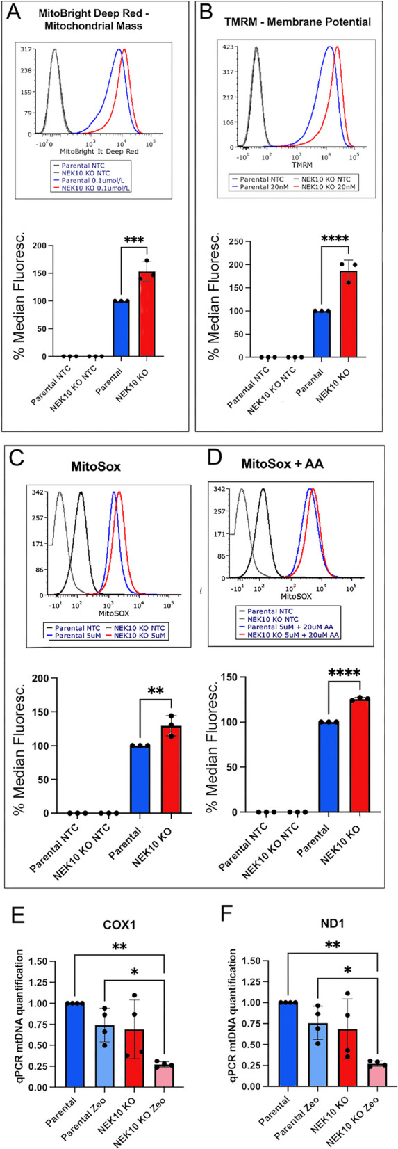 Fig. 4