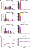 FIG 6