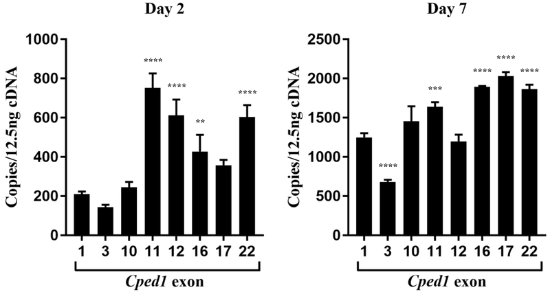 Figure 4: