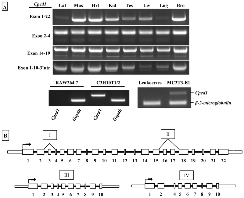 Figure 3: