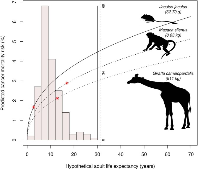 Extended Data Fig. 6