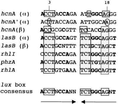 FIG. 5