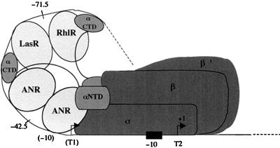 FIG. 7