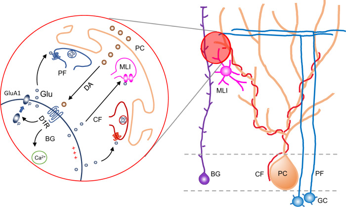 Fig. 8