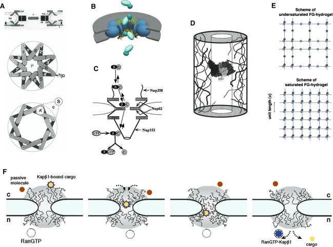 Fig. 4