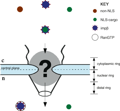 Fig. 3