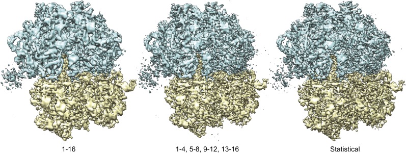 Figure 2—figure supplement 1.