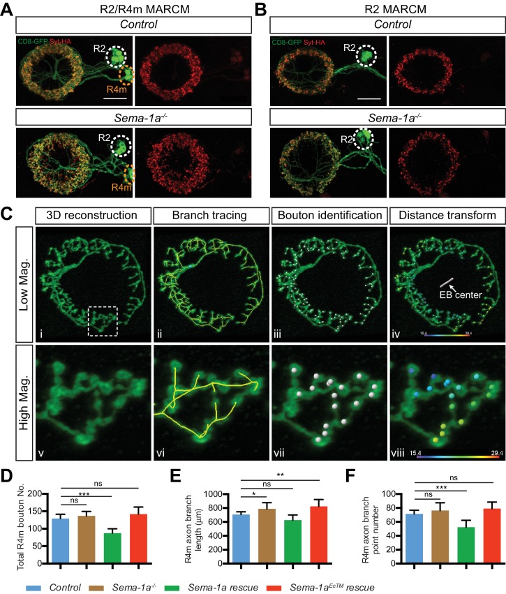 Figure 4—figure supplement 1.