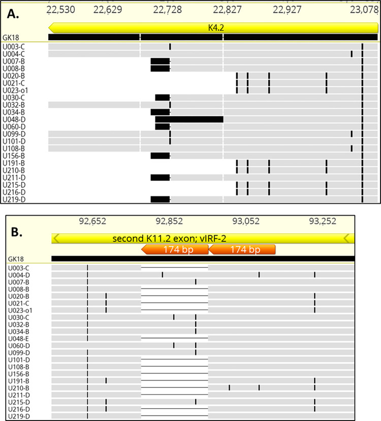 Fig 6