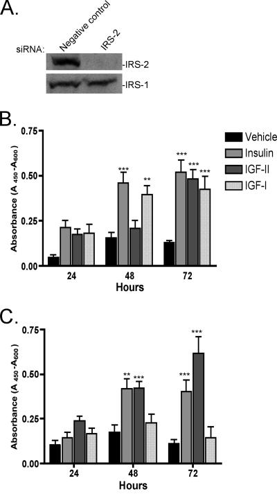 FIG. 9.