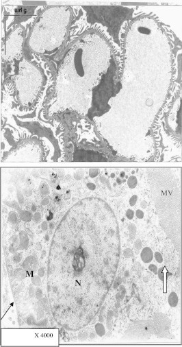 Figure 20