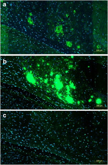 Fig. 11