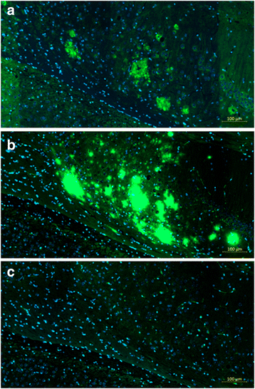 Fig. 11