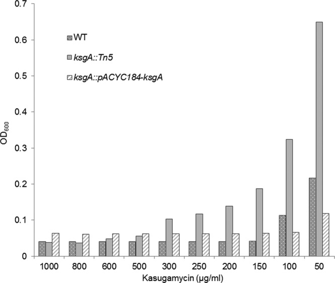 Fig 4