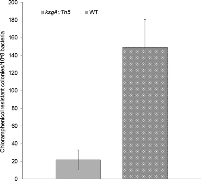 Fig 5