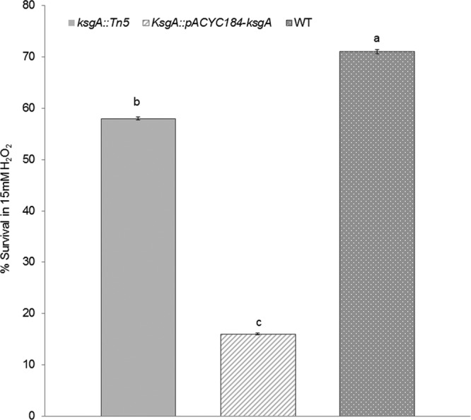 Fig 6