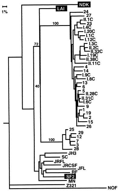 FIG. 7