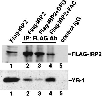 FIG. 7.