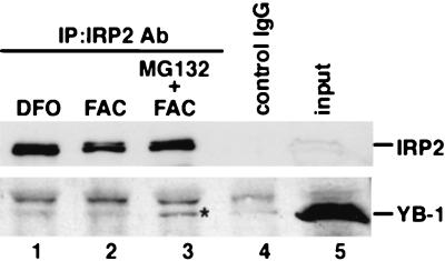 FIG. 8.