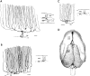 Fig. 5