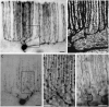Fig. 9