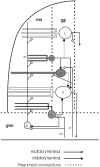 Fig. 16