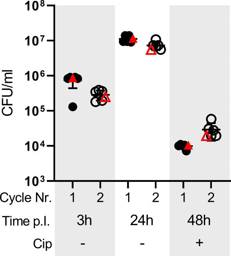 Fig 5