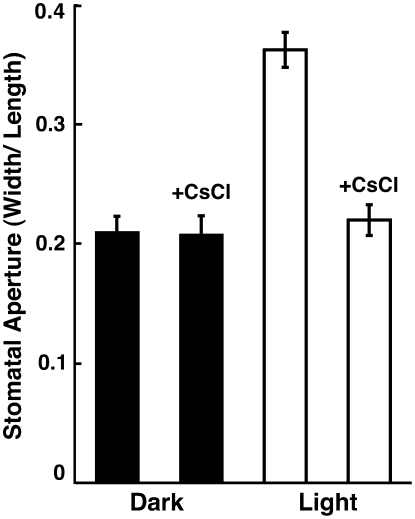 Figure 7.