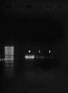 FIG. 6.