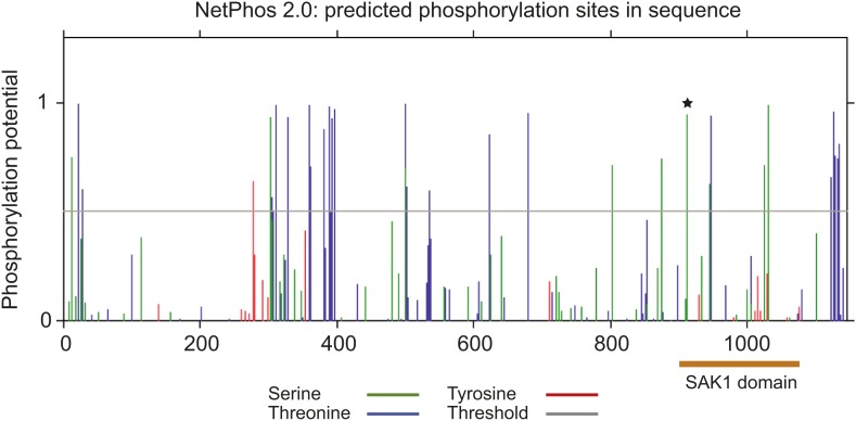 Figure 5—figure supplement 3.