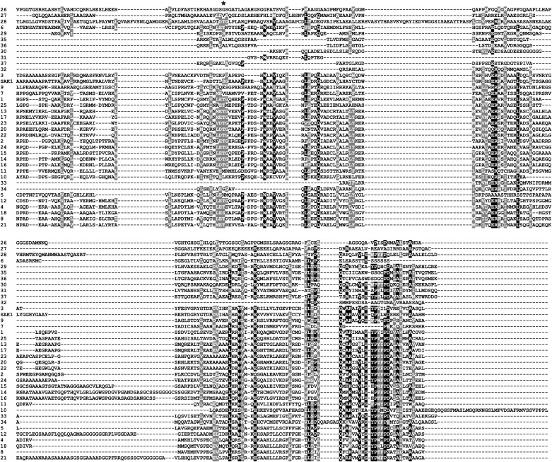 Figure 5—figure supplement 1.