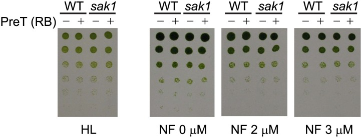 Figure 1—figure supplement 1.