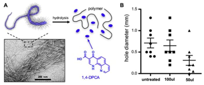 Fig. 6