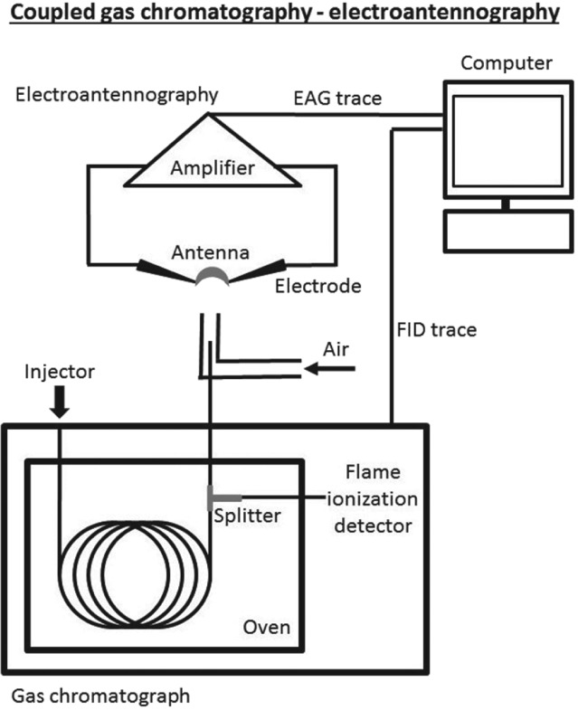 PS-5058-FIG-0001-b