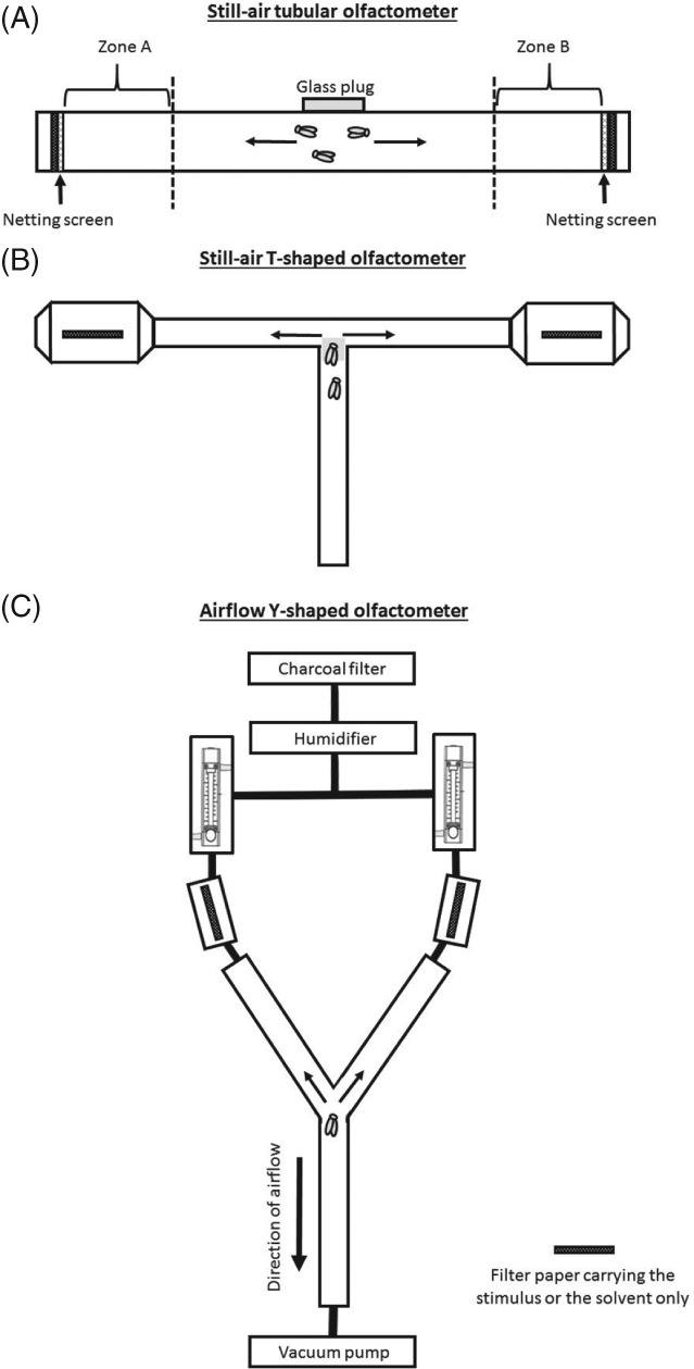 PS-5058-FIG-0002-b