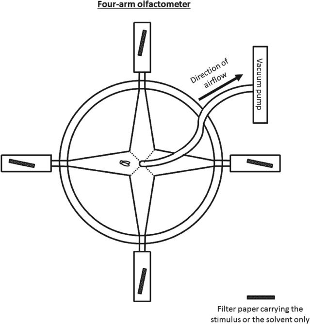 PS-5058-FIG-0003-b