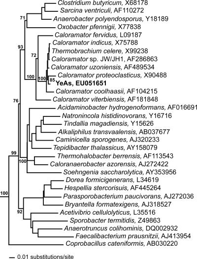 FIG. 8.