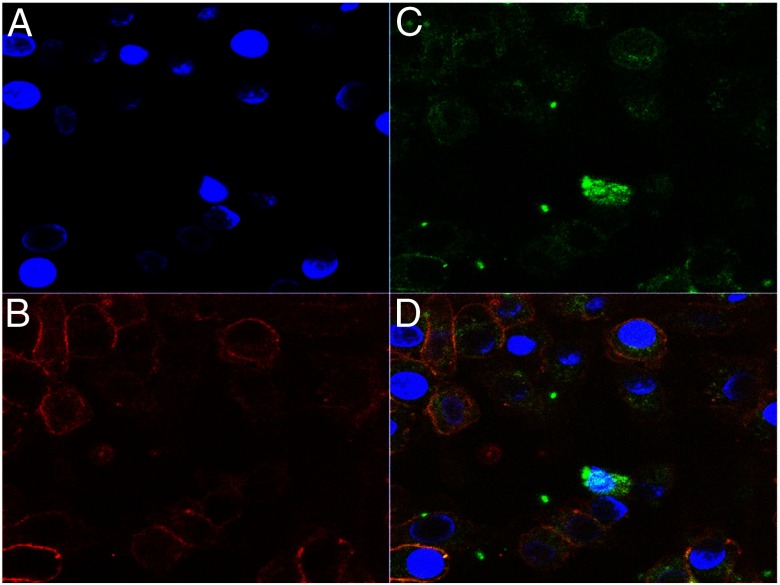 Figure 3.