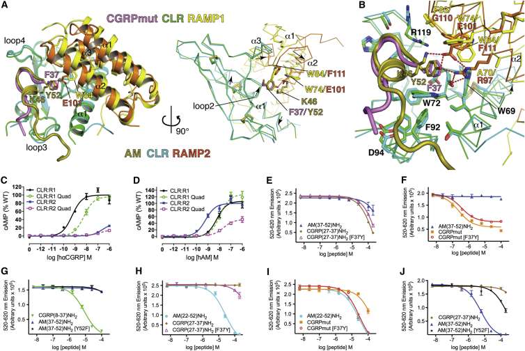 Figure 6