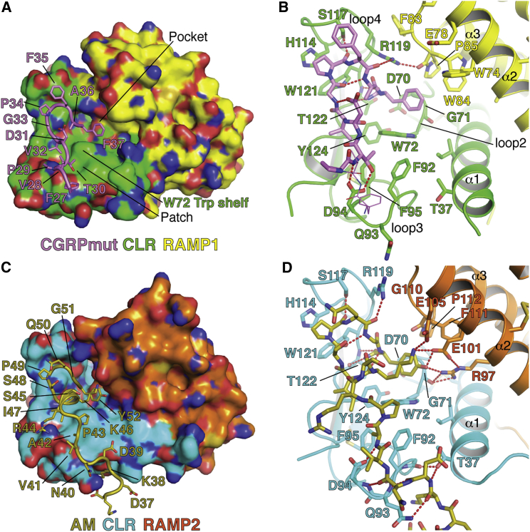 Figure 2