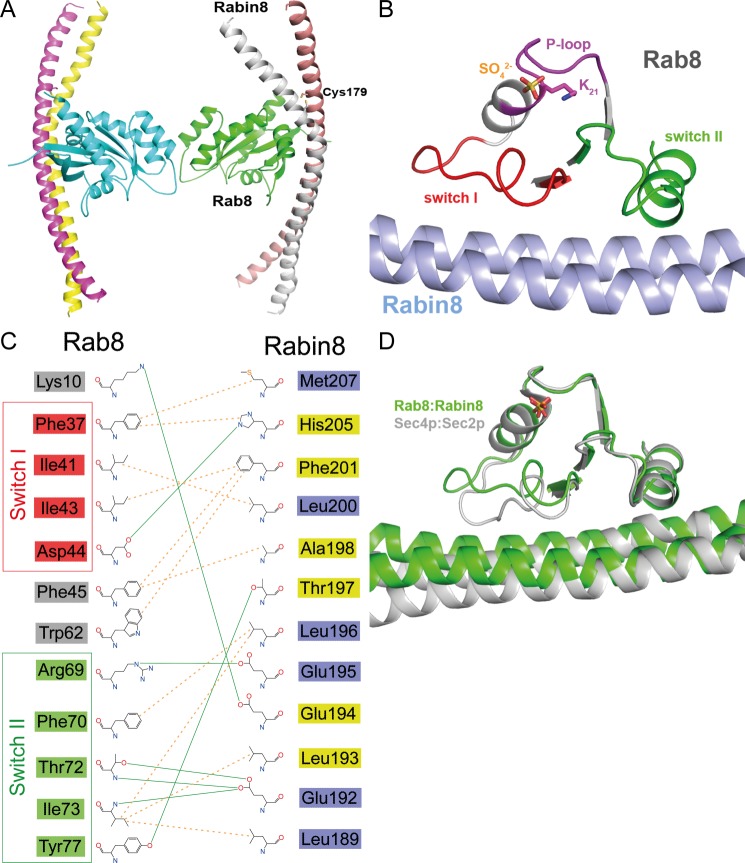 FIGURE 4.